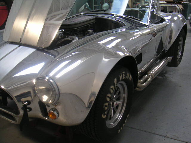 cobra13.JPG